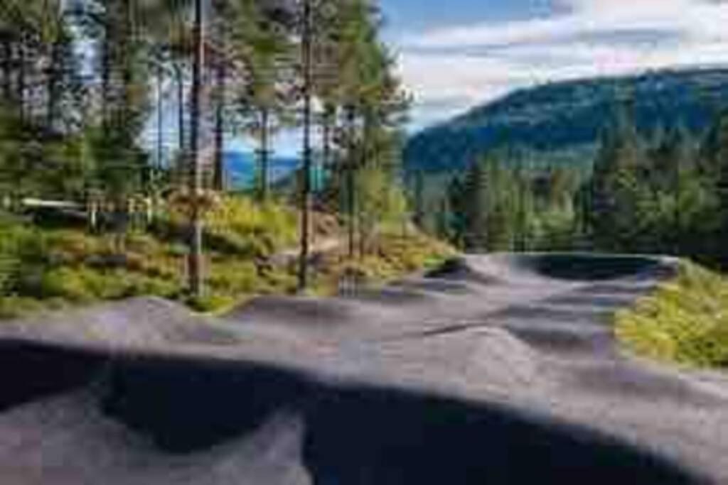 Hytte I Stryn Med Elbil Lader Εξωτερικό φωτογραφία